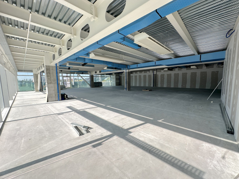 San Martino di Lupari Affitto Ufficio