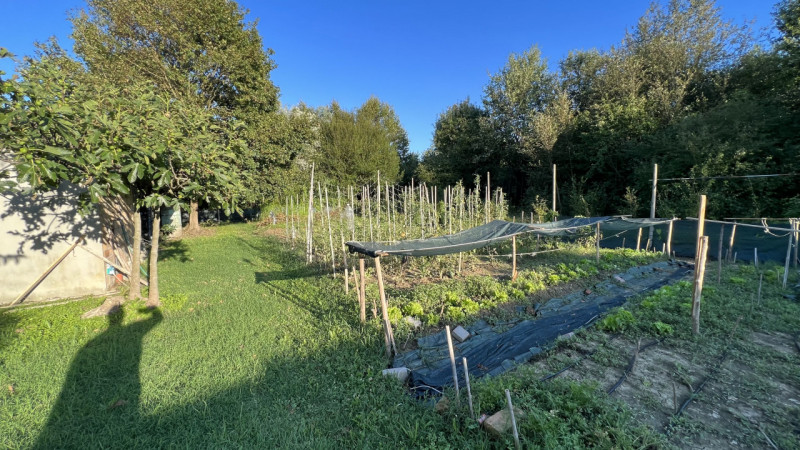 Zona Prati - In tranquillo e piacevole contesto residenziale, comodo ai principali servizi ed al ...