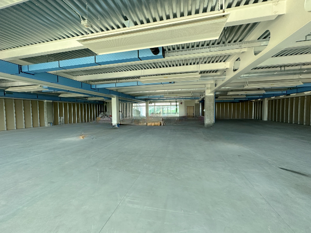 (Per INFO Roberto 3453195338) A San Martino di Lupari, sulla Strada Statale 53 che collega Vicenz...