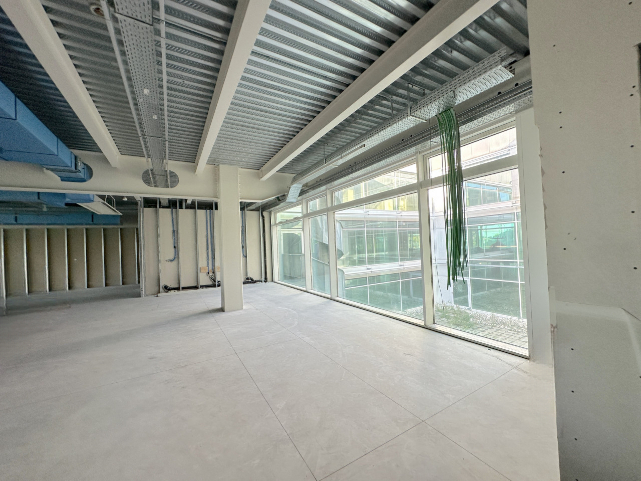 (Per INFO Roberto 3453195338) A San Martino di Lupari, sulla Strada Statale 53 che collega Vicenz...