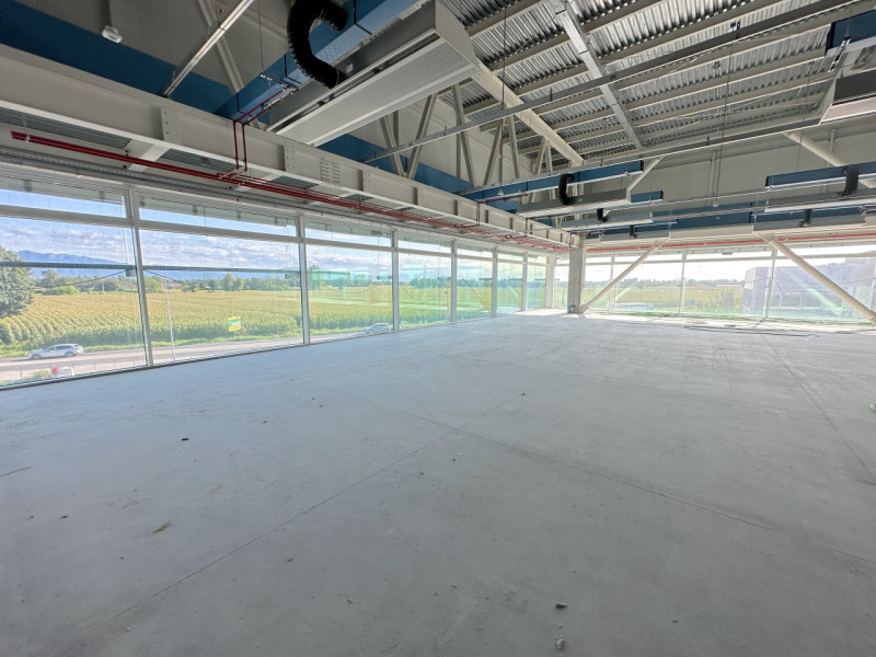 (Per INFO Roberto 3453195338) San Martino di Lupari, sulla Strada Statale 53 che collega Vicenza ...