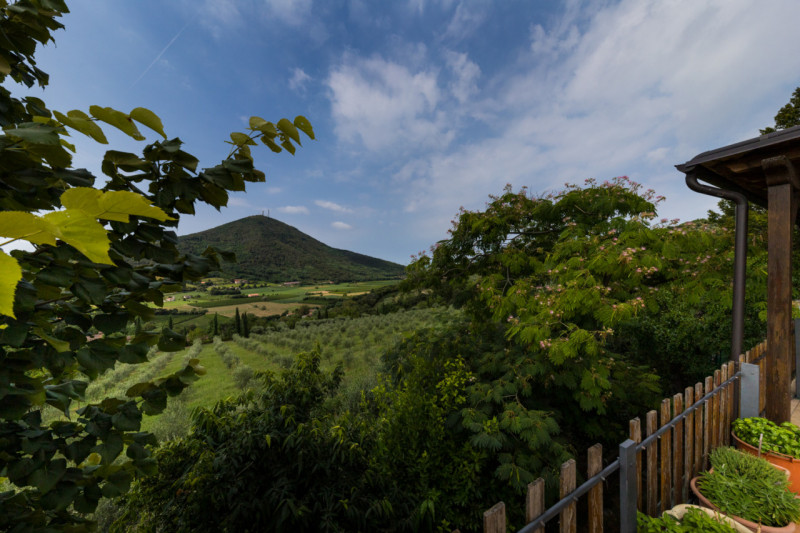 A Baone, località Valle San Giorgio, proponiamo in vendita casa singola, caratterizzata da una gr...