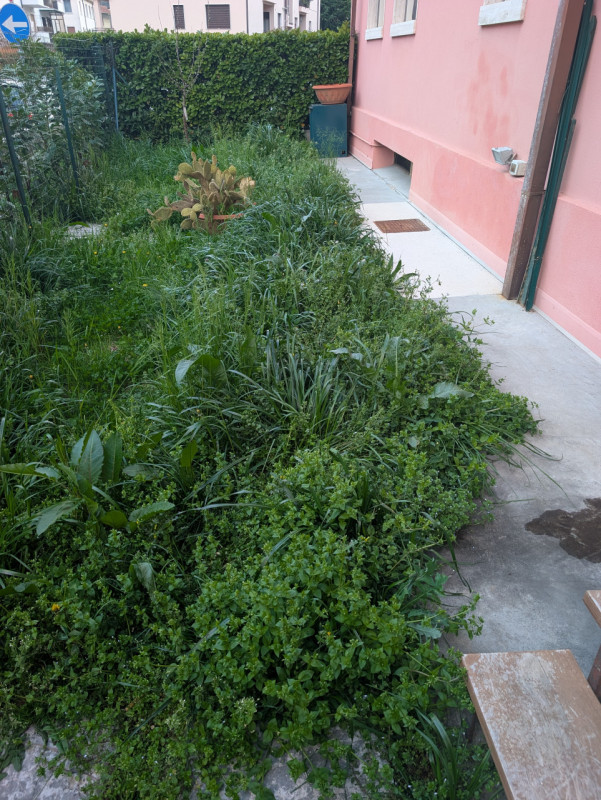 In una posizione privilegiata nel comune di Conegliano, nella zona delle piscine, proponiamo ques...