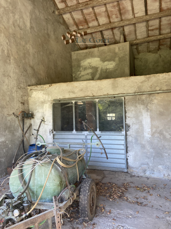 Abitazione rustica che si sviluppa su una superficie di circa mq. 250 caratterizzato da elementi ...