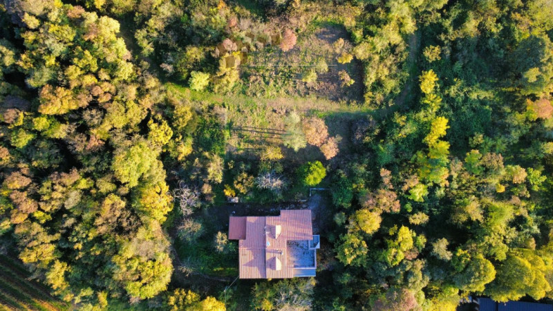 In una posizione collinare e soleggiata, comoda al centro di Lonigo, proponiamo in vendita un'amp...