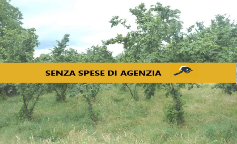 Aiello del Sabato Vendita Terreno