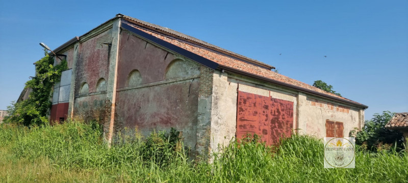 Rif. T328 - Azienda agricola sviluppata su una superficie di oltre 36 ettari a seminativo con alt...