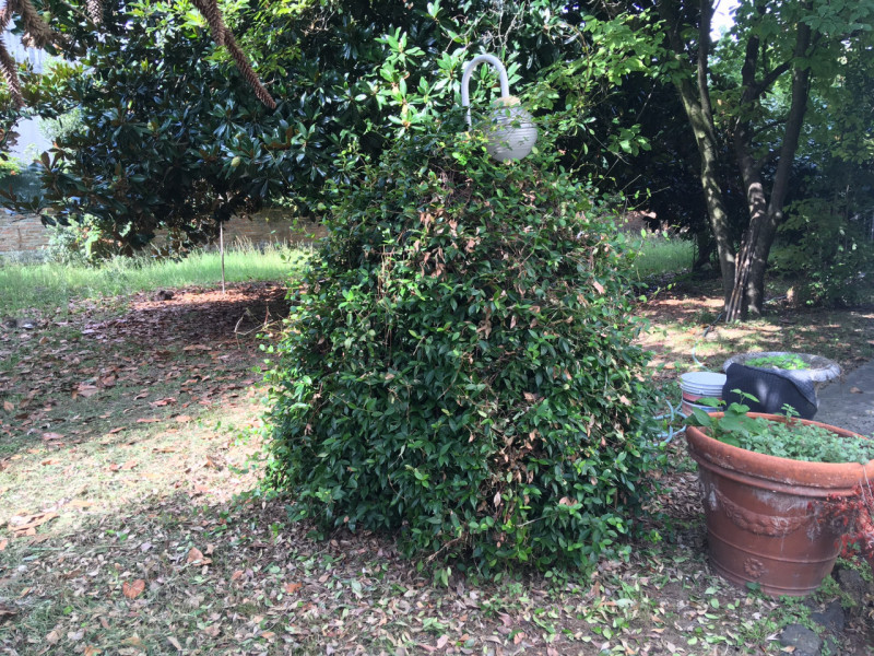 A Monselice vendesi splendido palazzetto d'epoca di stile  liberty a pianta quadrata di circa 150...