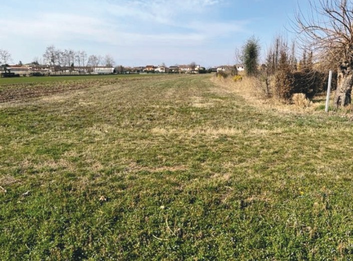 A.A.450-255

Vendesi all'asta terreno agricolo in data 22 settembre 2026

Appezzamenti di terreno...