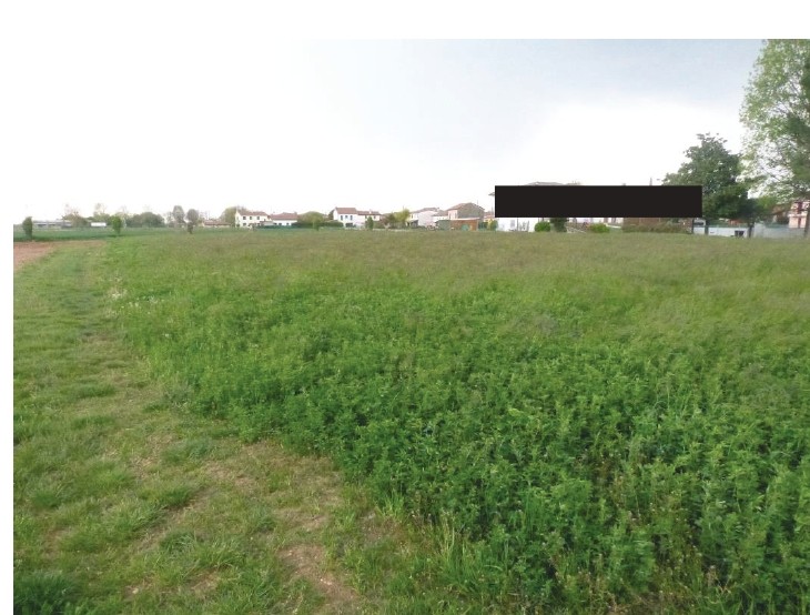 A.A.450-255

Vendesi all'asta terreno agricolo in data 22 settembre 2026

Appezzamenti di terreno...