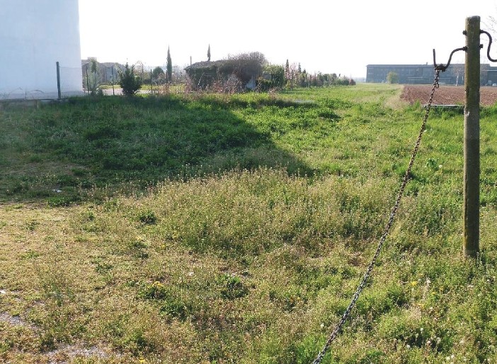 A.A.450-255

Vendesi all'asta terreno agricolo in data 22 settembre 2026

Appezzamenti di terreno...