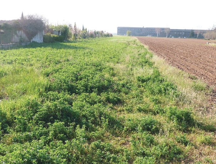 A.A.450-255

Vendesi all'asta terreno agricolo in data 22 settembre 2026

Appezzamenti di terreno...