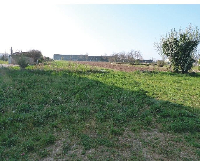 A.A.450-255

Vendesi all'asta terreno agricolo in data 22 settembre 2026

Appezzamenti di terreno...