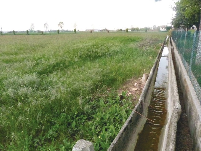A.A.450-255

Vendesi all'asta terreno agricolo in data 22 settembre 2026

Appezzamenti di terreno...