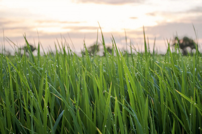 (Per INFO 3316190143) A Castelfranco Veneto, in frazione Campigo, in zona residenziale tranquilla...