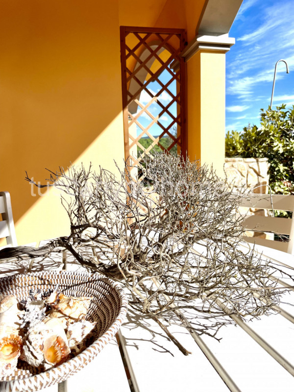 Castiglione della Pescaia Vendita Appartamento trilocale