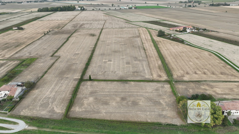 Rif. T210 Azienda agricola sviluppata su una superficie di circa 7 ettari a seminativo. L'intero ...