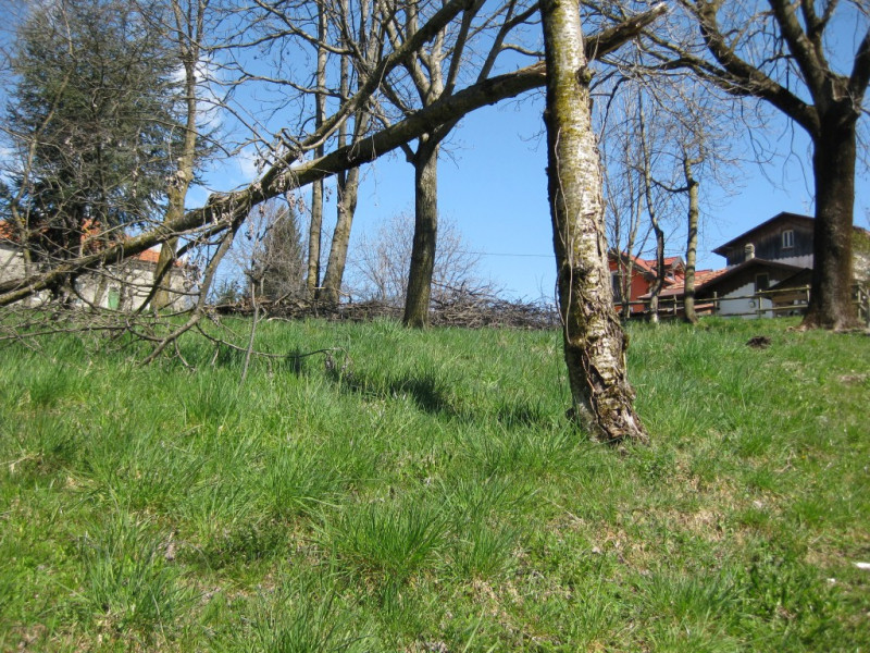 Sull'Altopiano di ASIAGO, in zona TRESCHE' CONCA di Roana, 
proponiamo una casa indipendente di c...