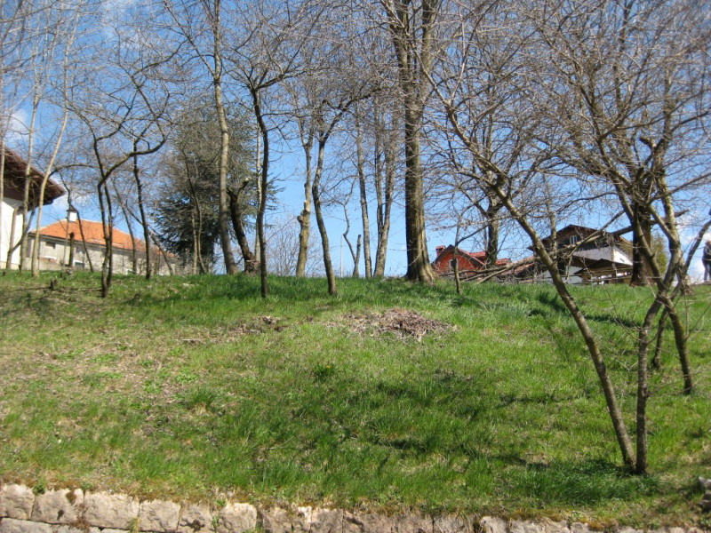 Sei alla ricerca di un immobile da ristrutturare per poterlo personalizzare? 
Sull'Altopiano di A...