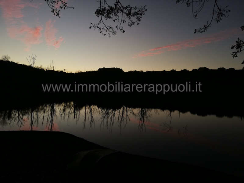 Rustici e casali in Vendita a Rapolano Terme