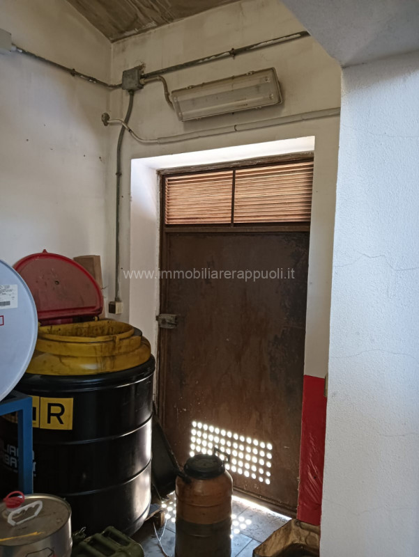 Capannoni industriali ed artigianali in vendita e affitto in Vendita a Sinalunga