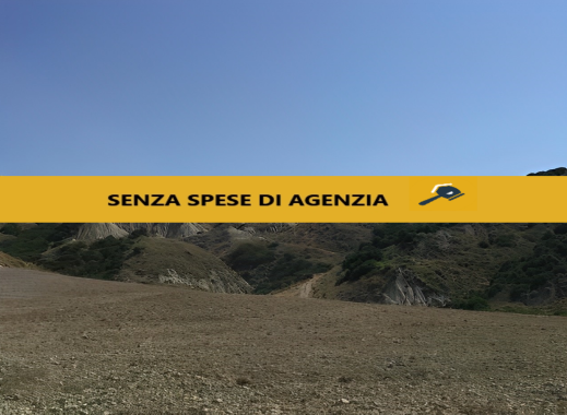 Ferrandina Vendita Terreno terreno agricolo/coltura