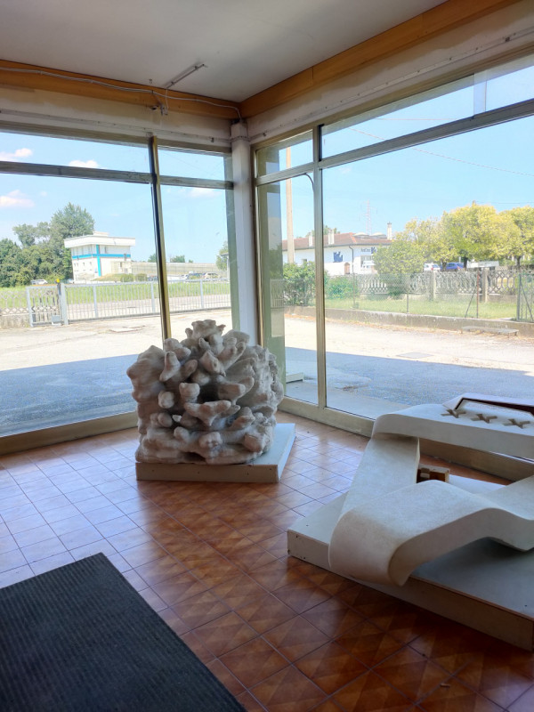 Rovigo, su strada di passaggio vicinanza zona artigianale/industriale,  vendesi negozio/ufficio d...