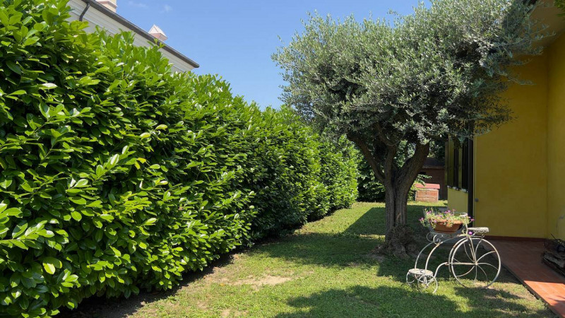 Ve lo diciamo subito: noi di questa casa ci siamo subito innamorati.

Ci siamo innamorati di una ...