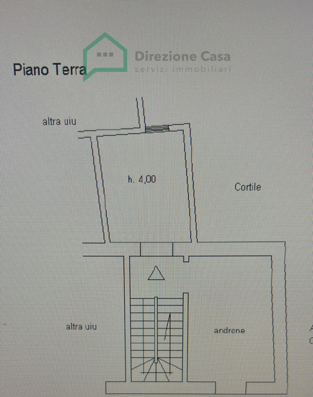 Immagine 7