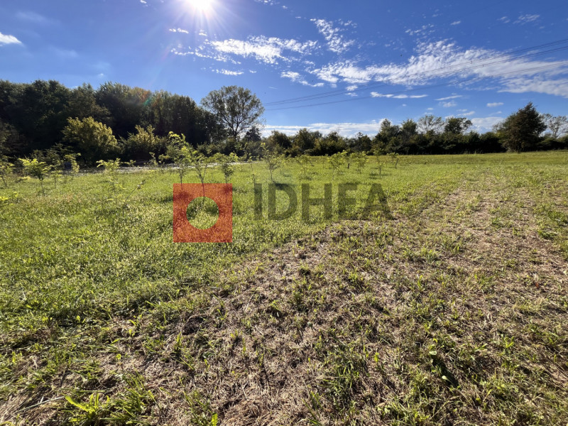 SILEA: SANT'ELENA

In ottimo contesto residenziale immerso nel verde e ricco di privacy, ma a sol...