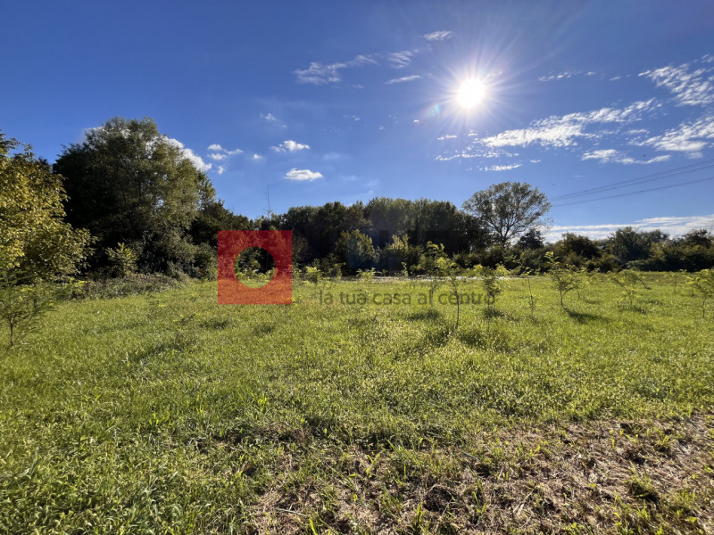 SILEA: SANT'ELENA

In ottimo contesto residenziale immerso nel verde e ricco di privacy, ma a sol...