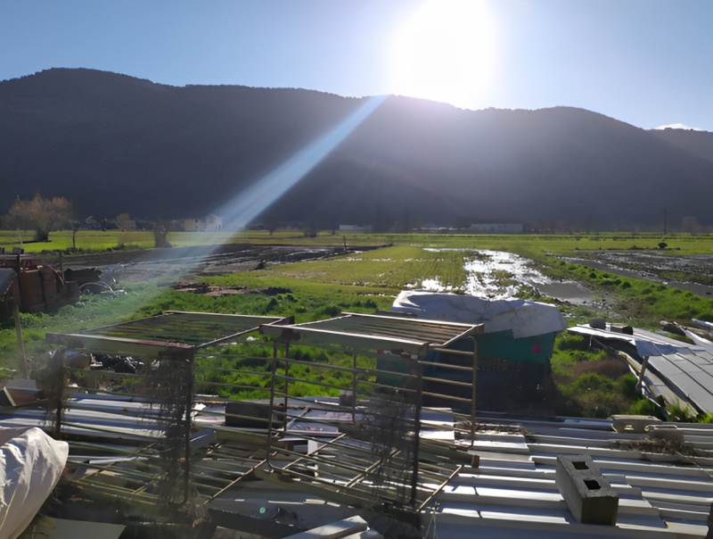 Terreni agricoli in Vendita a Sassano