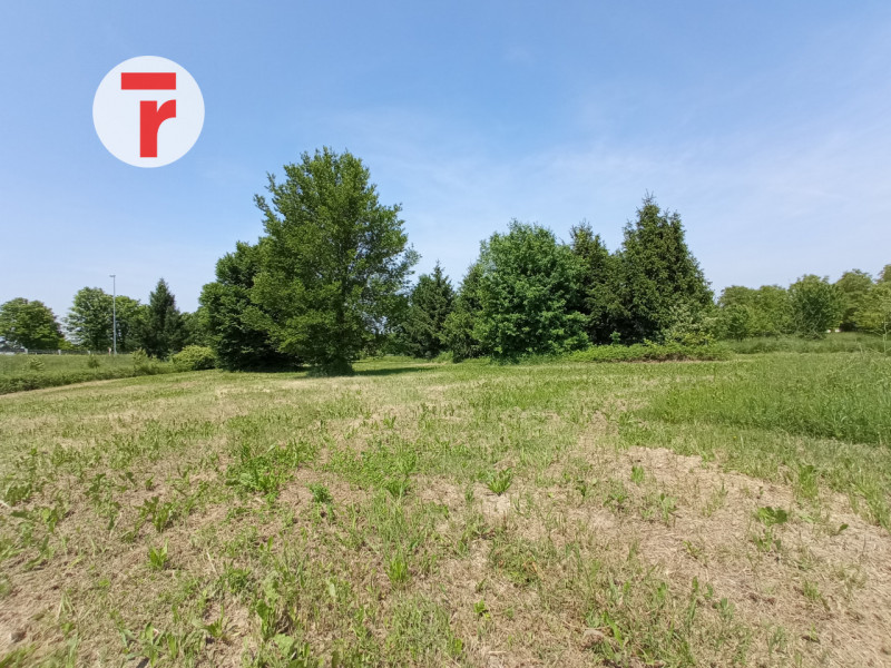 Un'oasi di verde, un terreno agricolo ottimo per coltivazione o piantumazione alle porte di Padov...