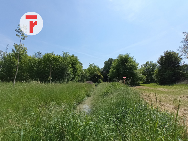 Un'oasi di verde, un terreno agricolo ottimo per coltivazione o piantumazione alle porte di Padov...