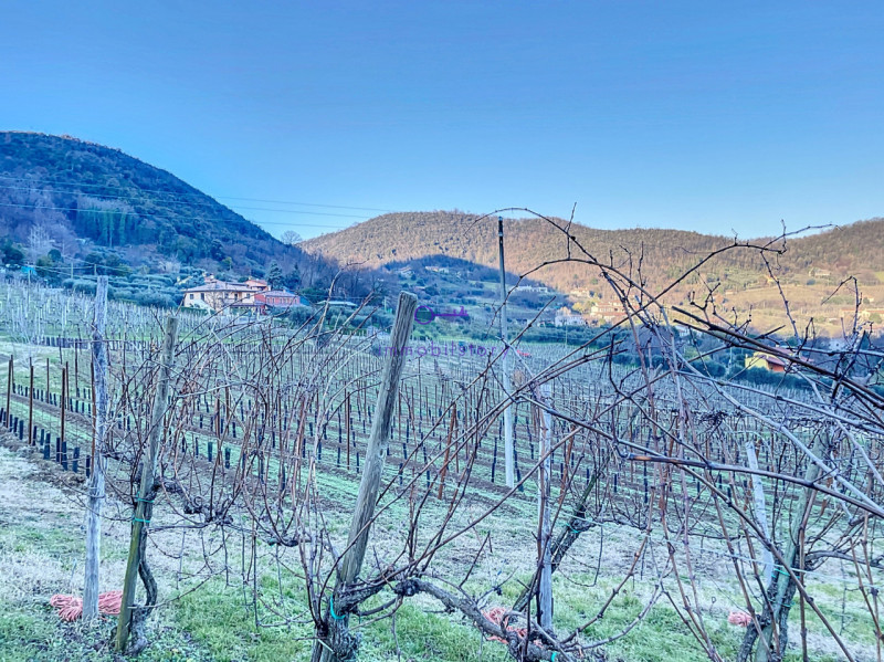 Superficie totale di 16.496 mq, caratterizzata da una configurazione non regolare ma BEN delimita...