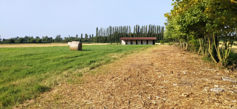 Monselice vendesi terreno agricolo di circa 4399 mq. con 100 mq di stalle per cavalli (6 box). Te...