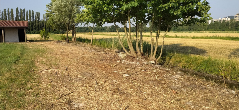 Monselice vendesi terreno agricolo di circa 4399 mq. con 100 mq di stalle per cavalli (6 box). Te...