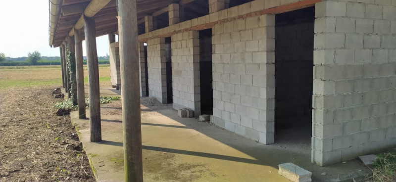 Monselice vendesi terreno agricolo di circa 4399 mq. con 100 mq di stalle per cavalli (6 box). Te...