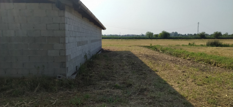 Monselice vendesi terreno agricolo di circa 4399 mq. con 100 mq di stalle per cavalli (6 box). Te...