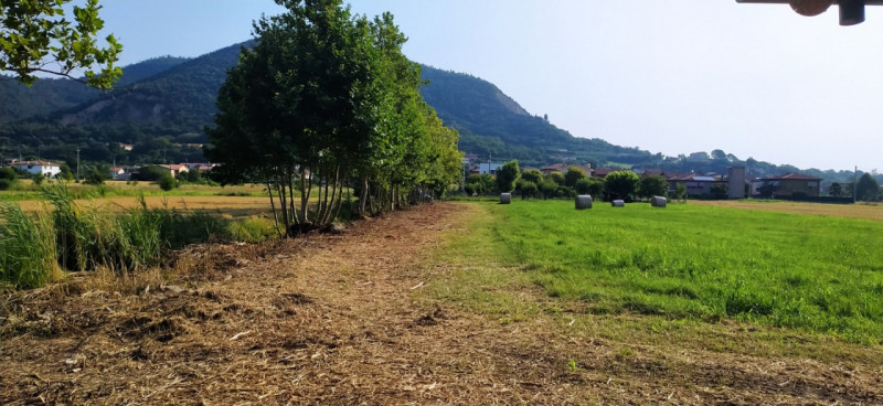 Monselice vendesi terreno agricolo di circa 4399 mq. con 100 mq di stalle per cavalli (6 box). Te...