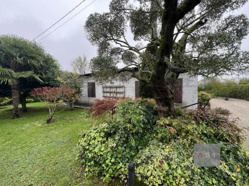 Campo San Martino Vendita Magazzino