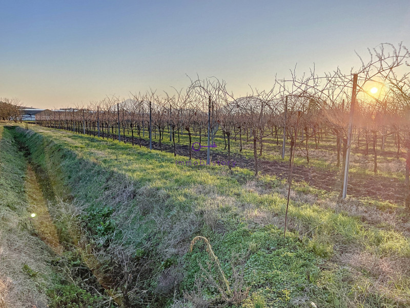 3950 metri quadrati, situato in una posizione in piano, facilmente raggiungibile con mezzi di tra...