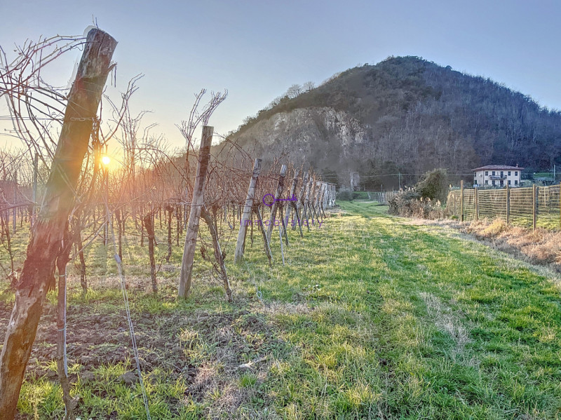 3950 metri quadrati, situato in una posizione in piano, facilmente raggiungibile con mezzi di tra...