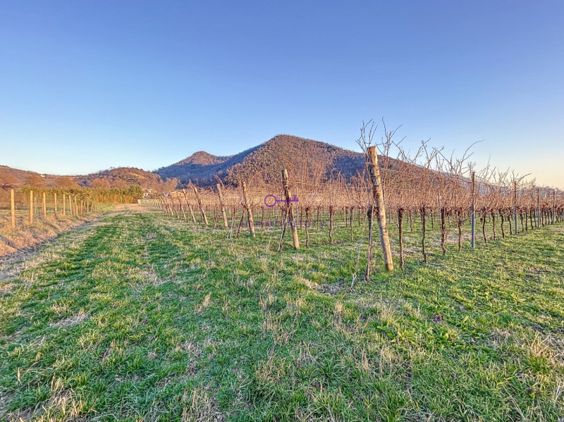 3950 metri quadrati, situato in una posizione in piano, facilmente raggiungibile con mezzi di tra...