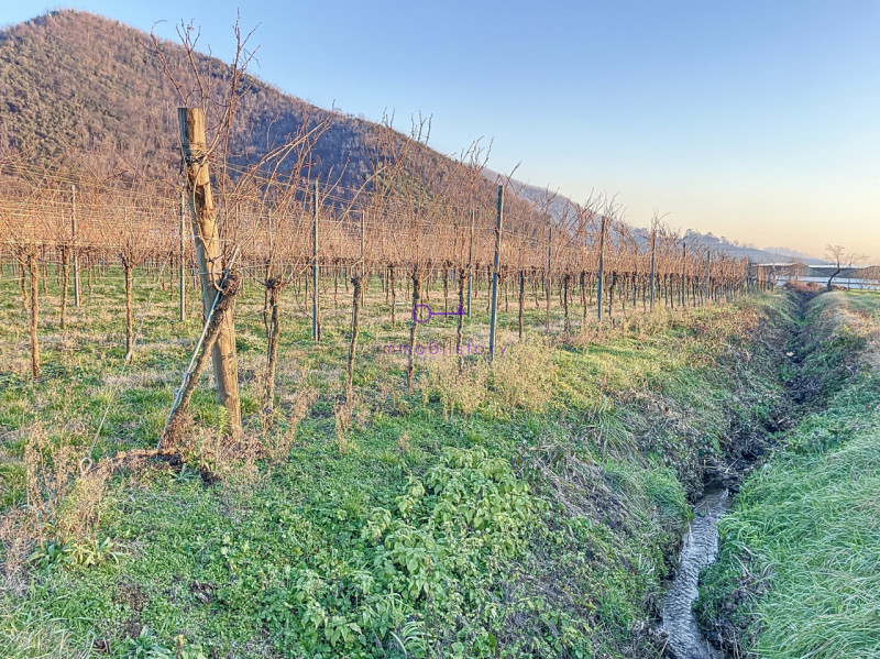 3950 metri quadrati, situato in una posizione in piano, facilmente raggiungibile con mezzi di tra...