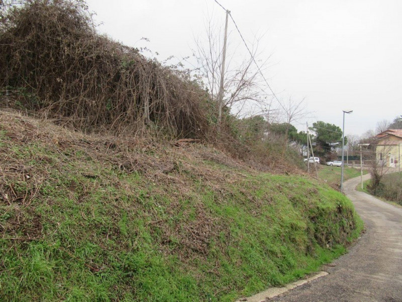 Quest’immobile viene venduto tramite asta online.
Vendesi terreni agricoli con rispettivi fabbric...