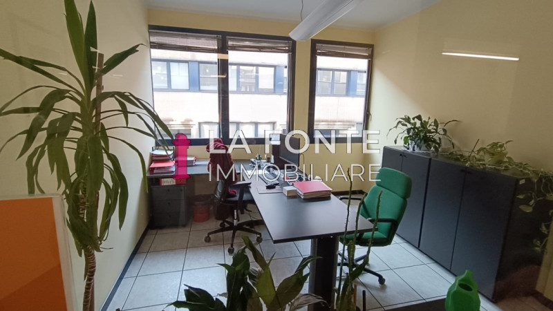 Padova, Noventa Padovana, ZIP Padova, Ufficio Mq 250 suddiviso in 7 Loft, Ingresso Ripostiglio Sa...