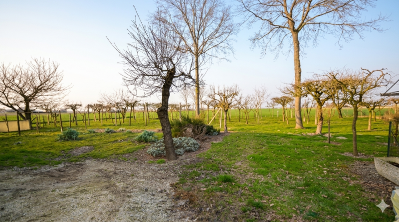 (Per INFO Mara 3481536890) A Eraclea, nei pressi di Ponte Crepaldo, proponiamo in vendita villa s...