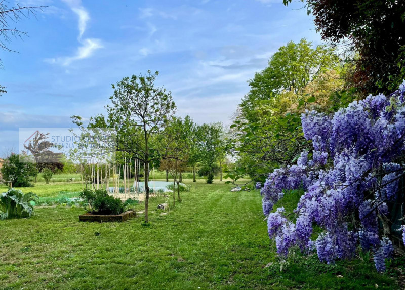 In campagna, ma non isolata e immersa nel verde di Quinto di Treviso, proponiamo questa villa sin...