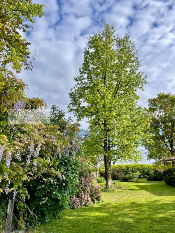 In campagna, ma non isolata e immersa nel verde di Quinto di Treviso, proponiamo questa villa sin...